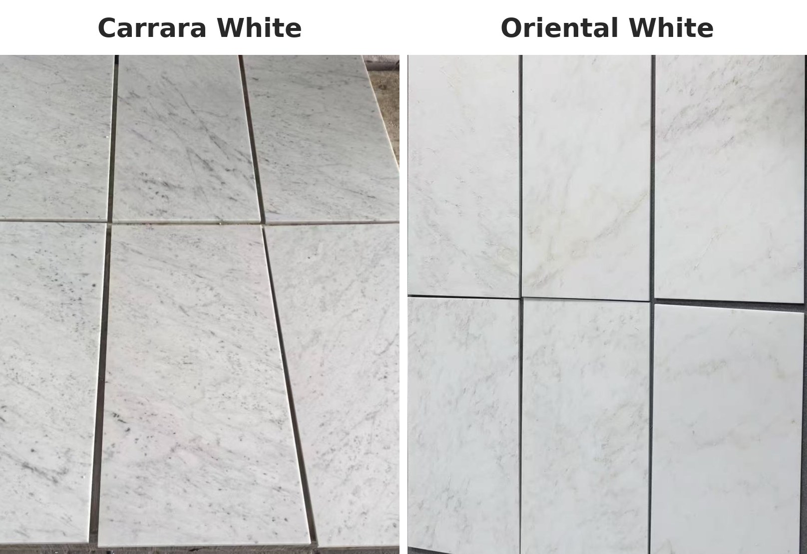 Oriental White vs. Carrara White: What's the Real Difference? Oriental White vs. Carrara White: What's the Real Difference?